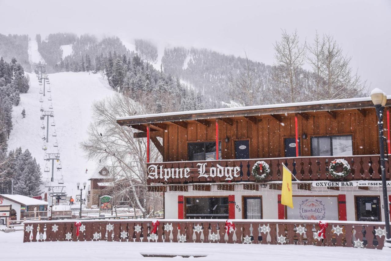 Hotel Alpine 2*