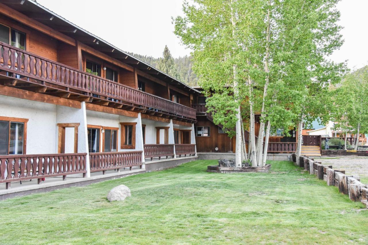 Hotel Alpine 2*